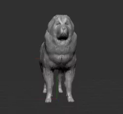 Tibetan Mastiff