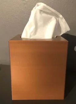 Tissue Box
