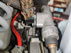 Transalp Rear Brake Connector