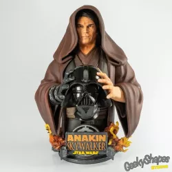 WICKED STAR WARS ANAKIN BUST: TESTED AND READY FOR 3D PRINTING