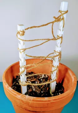 3D-Printable Gardening Stake for String Trellis