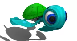 Cute Turtle