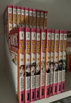 Manga/book 2-level support shelf