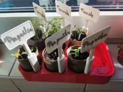 Seed Starter Tray using Toilet Paper Rolls / Tubes
