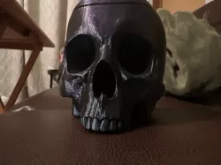 Skull deck box 