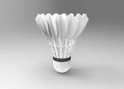 Badminton Cork