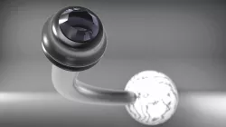 Belly Ring