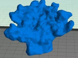 Coral