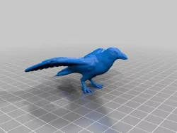 Crow, open wings