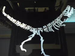 Dinosaur bones necklace
