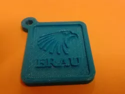 Embry-Riddle logo keychain