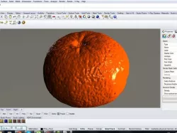 mandarine