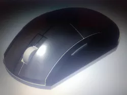 Mouse