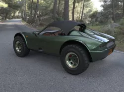 Sport electric buggy