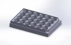 Standard 24 Well Plate