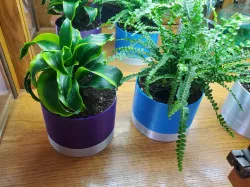 Simple 5" draining flower pot