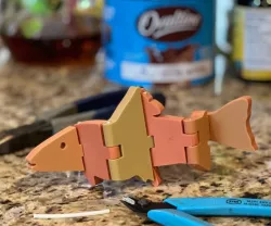 Fishy the hinge...