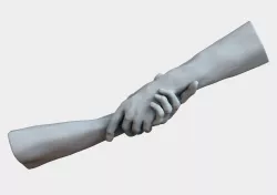 hands