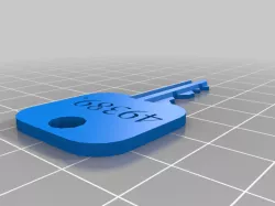 My Customized Schlage SC1 5 Pin house key w/label (Plus depth key files)