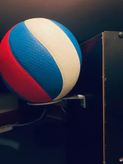 wall mounted ball holder