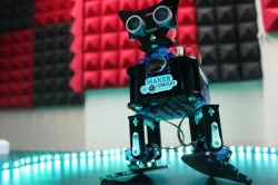 Biped Catbot