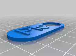 Pic Keychain