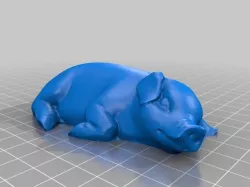 pig