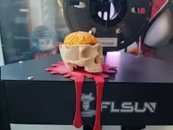 Skull with Removable Brain