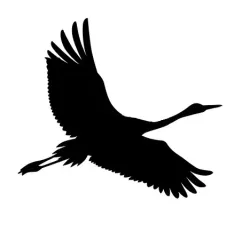 Airbrush stencil stencile Crane 03