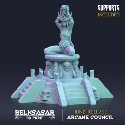 Arcane Council - Crusader