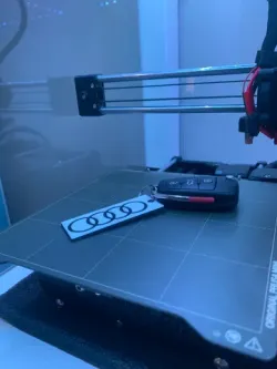 Audi keychain