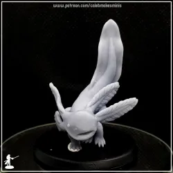 Axolotl Series [PRE-SUPPORTED] | Complete Collection - June, 2022