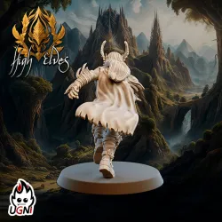 Blitzer #1 - High Elves Team