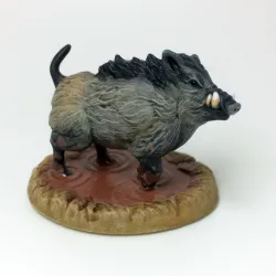 Boars