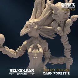 Dark Forest II - Knight