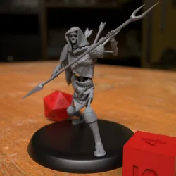 Draugr Undead Skeleton Fighter Warrior Spearman