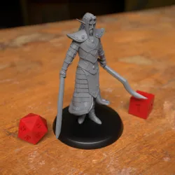 Elf Fighter Warrior