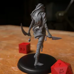 Female Rogue Drow Elf