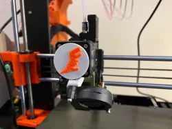 Flexi Rex Visualizer