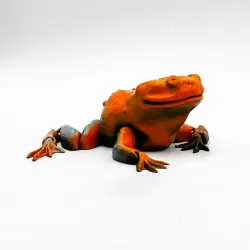 Flexi Toad Frog articulated print-in-place no supports