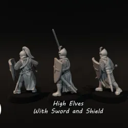 High Elves with Sword and shield