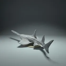 Largetooth Sawfish