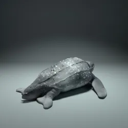 Leatherback Sea Turtle
