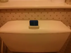 Loo Flush
