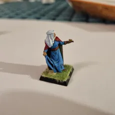 Medieval Falconers