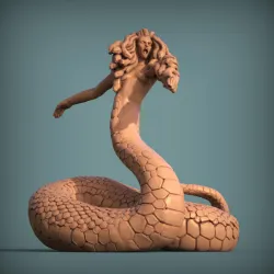 Medusa (pre-supported)
