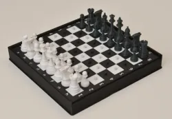 MMU Travel Chess Set with a Twist