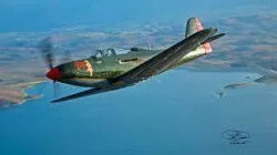 P-63 kingcobra
