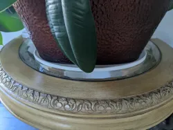 Planter Plate