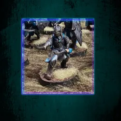 River Realm Elf Command